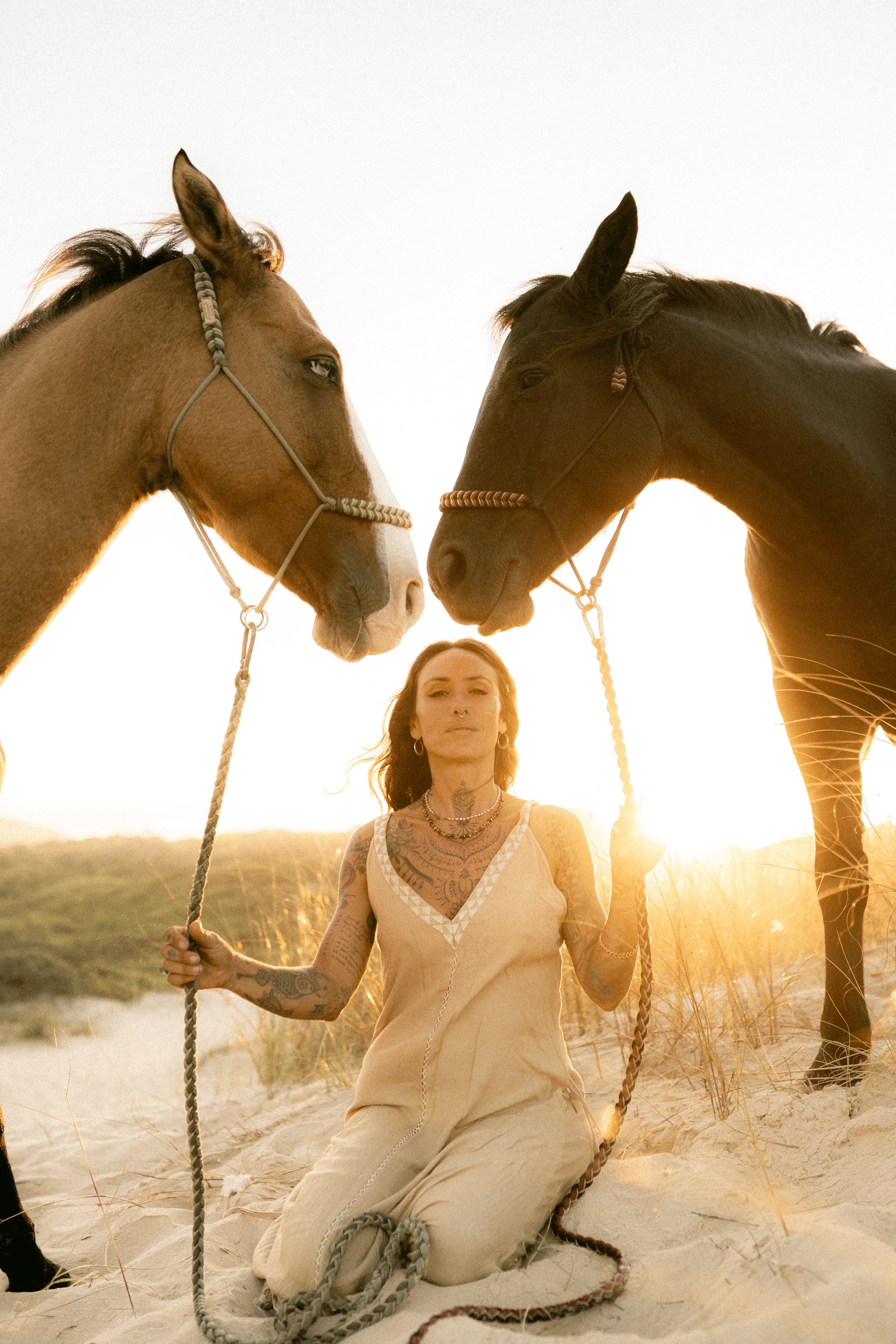 Through horses, I guide others to reconnect with their true essence.
